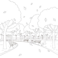 Obraz premium Serene park scene with walking path and benches surrounded by trees.