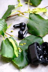 Bluetooth headphones on a table with decorative green leaves