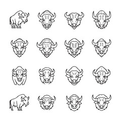 Obraz premium Bison Head Icons and Full Body Illustration, Black and White Line Art