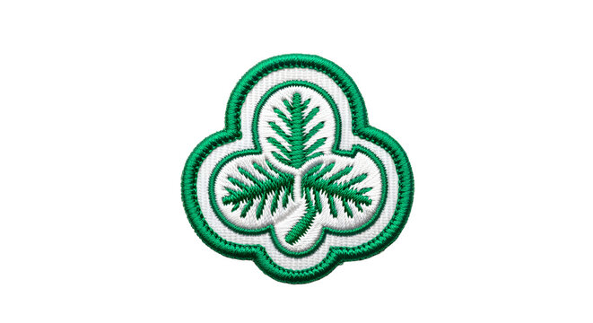 A Girl Scout trefoil (three-leaf) badge, isolated on white.