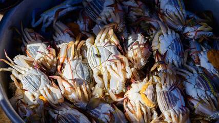 A close-up view of a pile of fresh crabs arranged belly-up in a metal basin at a traditional market in Kampot, Cambodia. The image highlights the striped patterns, tied claws, and natural textures of © Florent