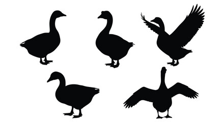 Black silhouettes of geese in various poses a minimalist depiction silhouette © md
