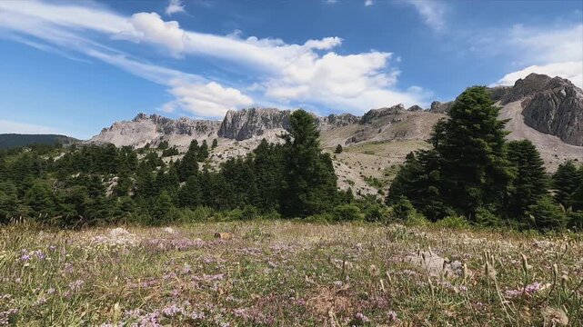 4K timelapse of blooming spring wildflower fields in a mountainous area of Evia Island, Greece, with fast moving clouds over rugged peaks and pine forest. Authentic Greek natural landscape showing sea
