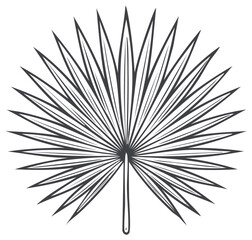 Fototapeta premium Palm leaf drawing in minimalistic style, vector illustration of tropical plant foliage design