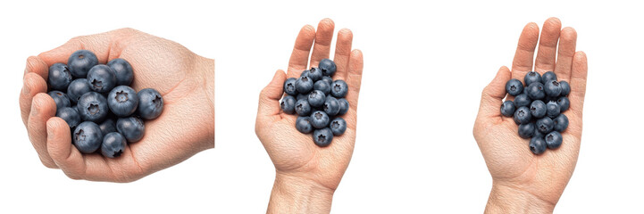 Set and collection of a hand holding handfuls of fresh blue blueberries in three different poses, isolated on white transparent PNG background