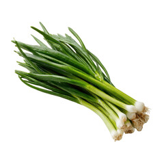Fototapeta premium Fresh Green Onions Bunch Isolated on White Background for Cooking