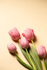 Fototapeta premium Beautiful delicate pink tulips on paper
