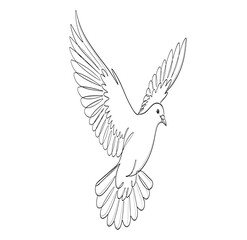 Fototapeta premium A simple line drawing of a dove in flight, symbolizing peace and serenity in a minimalist style.