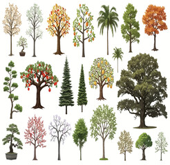 Fototapeta premium A diverse collection of trees in various shapes and colors.