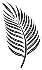 Obraz premium Silhouette illustration of a palm frond in a vector style
