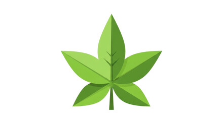 Green Leaf of Plant isolated