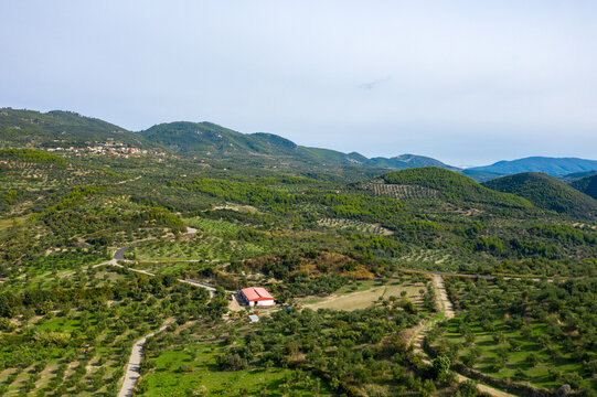 Expansive aerial perspective of lush olive groves and winding rural roads stretching across rolling green hills in the Greek countryside. Distant village and forested slopes create a tranquil