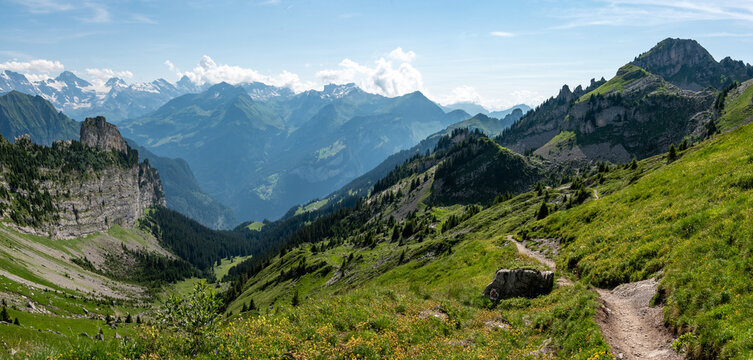 Idyllic alpine pasture at the Schynige Platte in the Swiss alps