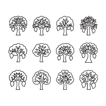 Mango Tree Icons, Various Designs, Line Art, Isolated on White