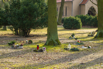 Die Wahl zu einer Baumbestattung findet immer mehr Anklang © Ronald Rampsch