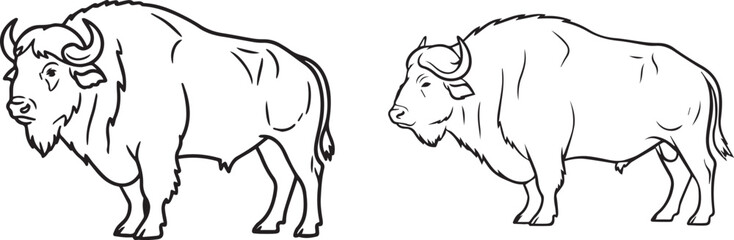 Obraz premium Two illustrated bisons, a powerful emblem of the American West. These animals stand side-by-side