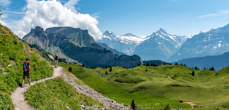 Schynige Platte, Switzerland - August 13, 2025 - Hikers at the Schynige Platte in the Bernese highland