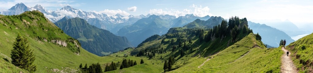 Naklejka premium A woman and her dog hiking from mount Faulhorn to Schynige Platte