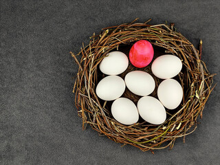 Pink Easter egg at the top of white eggs circle