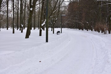 Obraz premium Snow covered park pathway in winter with high snowbanks and bare trees. Quiet cold season landscape with fresh white snow and peaceful outdoor atmosphere.