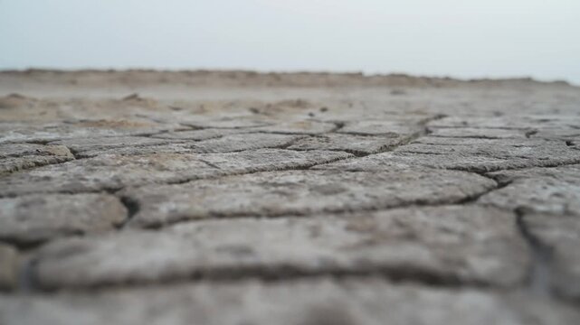 Close-up view of parched and cracked desert ground, depicting arid conditions of nature
