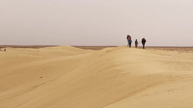 Individuals leading camels over sandy dunes in the Sahara desert