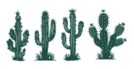 Cactus set hand drawn illustrations
