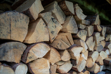 Drewno na opał, drzewo © Follow the Sun