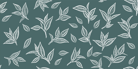 Green tea leaves pattern. Hand drawn. 
