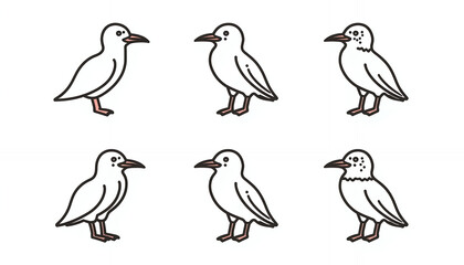 A group of cartoon seagulls standing in different poses on a white background