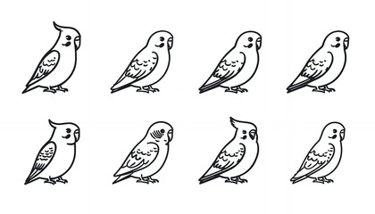 Obraz premium A group of cockatiels standing in different poses on a white background