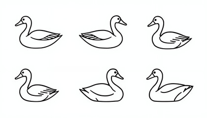 Obraz premium A set of simple black and white duck illustrations on a clean background
