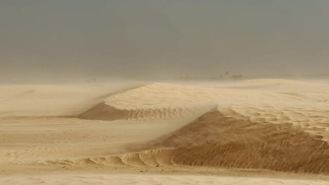 Background of sandy Sahara desert landscape with windy dunes and arid sandstorm drifting sand
