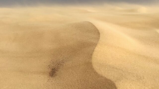 Golden sandy dunes with storm drifting sand and sunlight shining across the desolate Saharan landscape