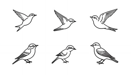 Fototapeta premium A black and white illustration of birds in various flying and standing positions