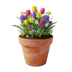 Obraz premium Spring Flowers in a Pot