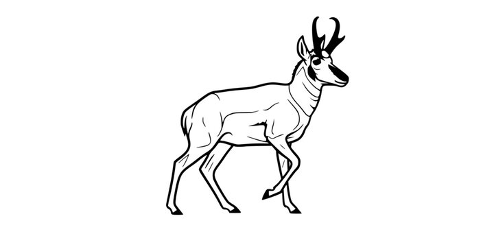 pronghorn silhouette line art vector illustration with a white background
