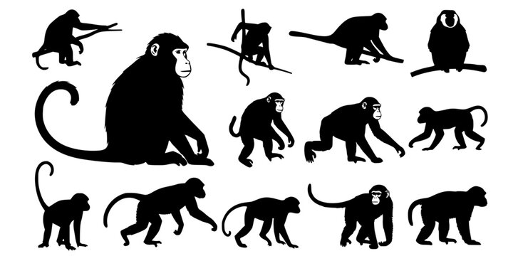 Monkey silhouettes, Monkey silhouette collection, Sitting monkey silhouette, Monkey, Monkey clipart, Monkey
