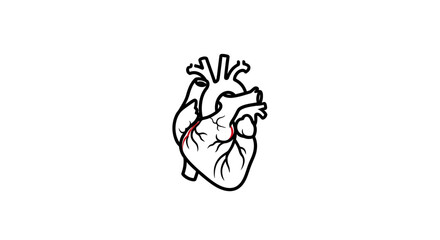 Human Heart Anatomy Medical Outline Organ Icon, isolated white background