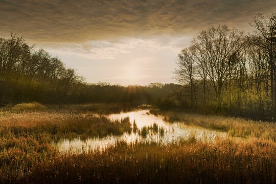 Springtime sunrise over the marsh on Grindstone Marshes trail at RBG Hendrie Valley Sanctuary in Burlington, Ontario, Canada