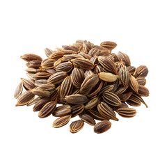 Isolated ingredientstyle commercial photo of dill seeds on white background perfect studio light isolated