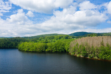 Fototapeta premium A calm dark lake meets a shoreline of vibrant green trees and a patch of dry, brown woodland beneath a sky filled with scattered clouds at Lac de Chaumecon.