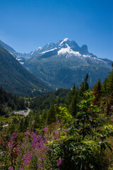 Spectacular view of Mont Blanc massif from lac Blanc, Chamonix