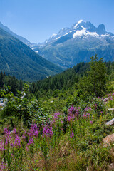 Spectacular view of Mont Blanc massif from lac Blanc, Chamonix