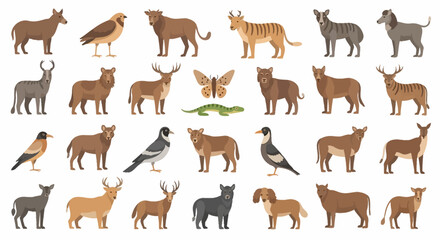 Obraz premium Collection of Various Wild Animals.