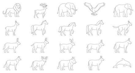 Obraz premium Various Animals Line Drawings.