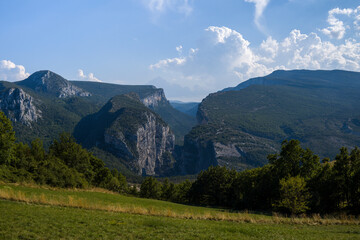 Fototapeta premium Sweeping landscape of dramatic limestone cliffs and forested slopes in the Verdon Gorge, with a sunlit grassy meadow in the foreground and towering cumulus clouds in the blue sky.