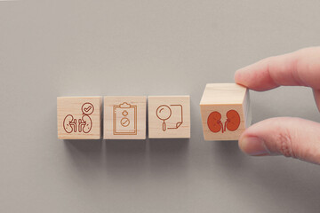 Hands holding wooden blocks with health icons, urology, kidney, world kidney day, organ donation, health insurance concept
