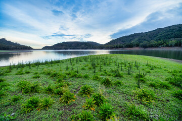 Fresh green vegetation covering a lakeshore peninsula with calm water and rolling hills under a soft cloudy sky. Natural landscape showing seasonal growth, tranquility and untouched countryside