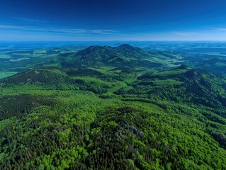Fototapeta premium An aerial photograph reveals a dense forest with a diverse green canopy covering undulating terrain.